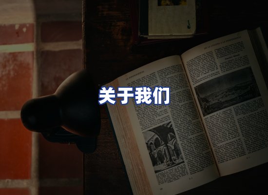 专业团队